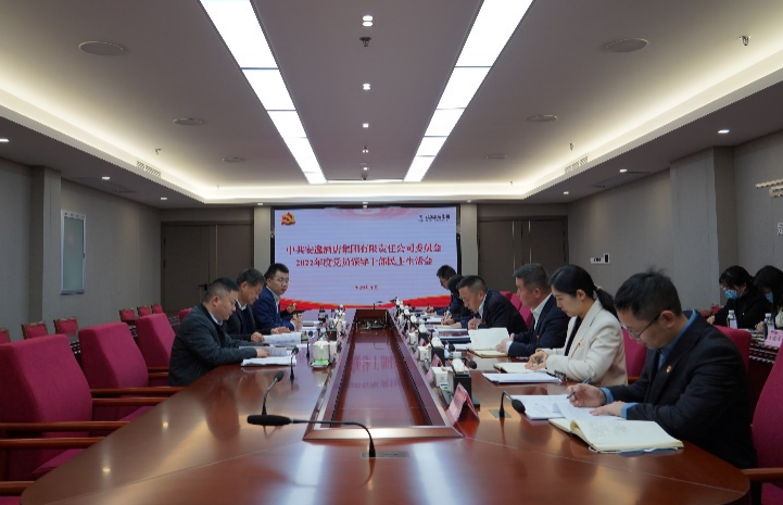 尊龙凯时集团党委书记、董事长任丁出席安逸酒店集团2022年度党员领导干部民主生活会